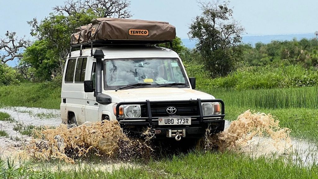 Classic Landcruiser