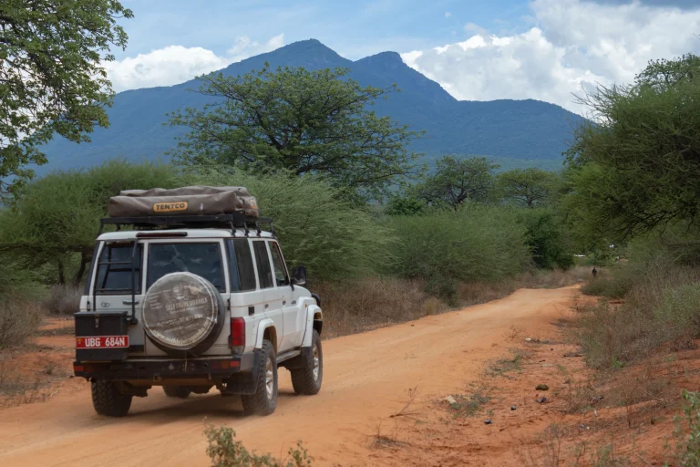 Game Drive
