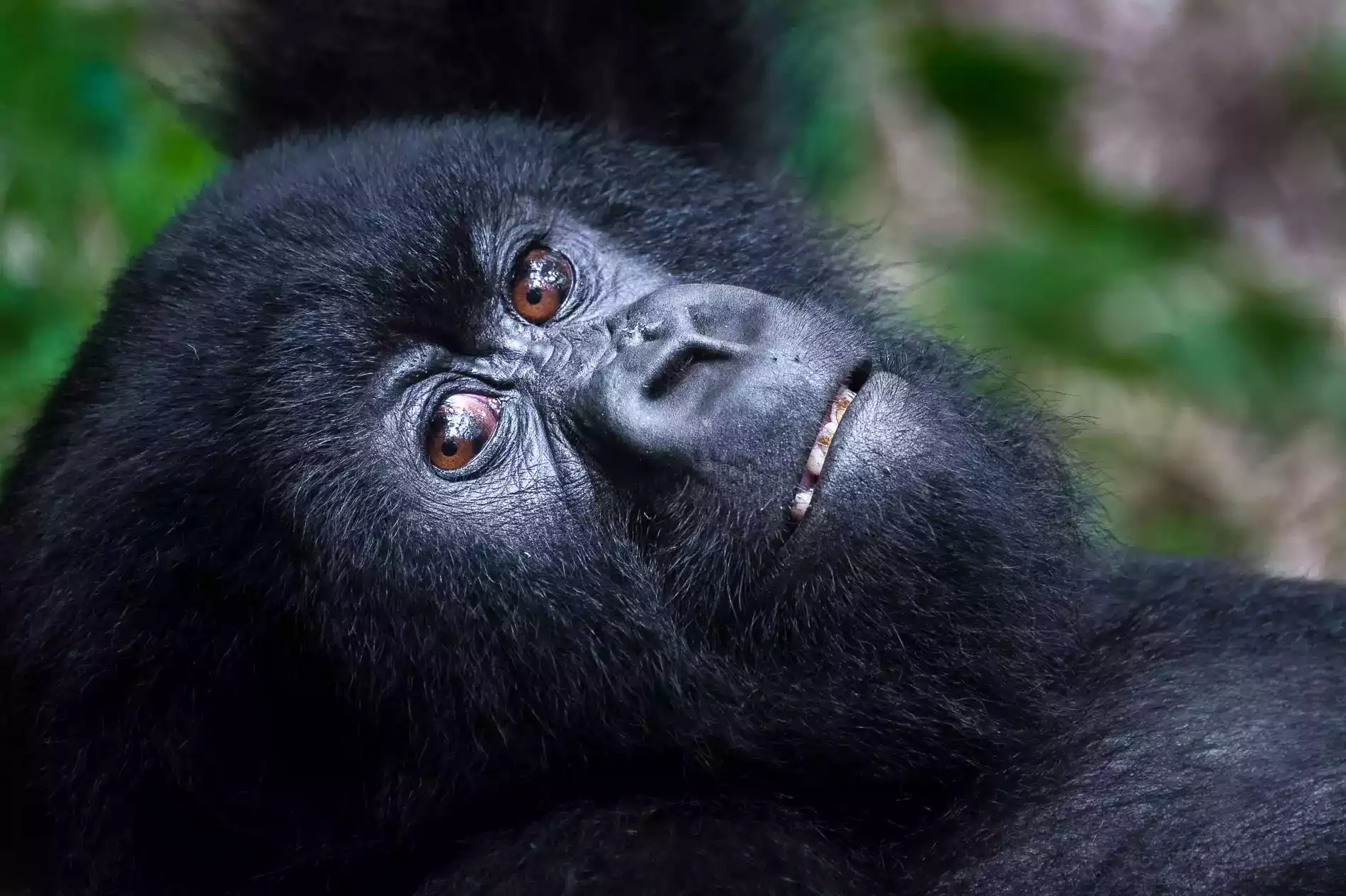 Rwanda