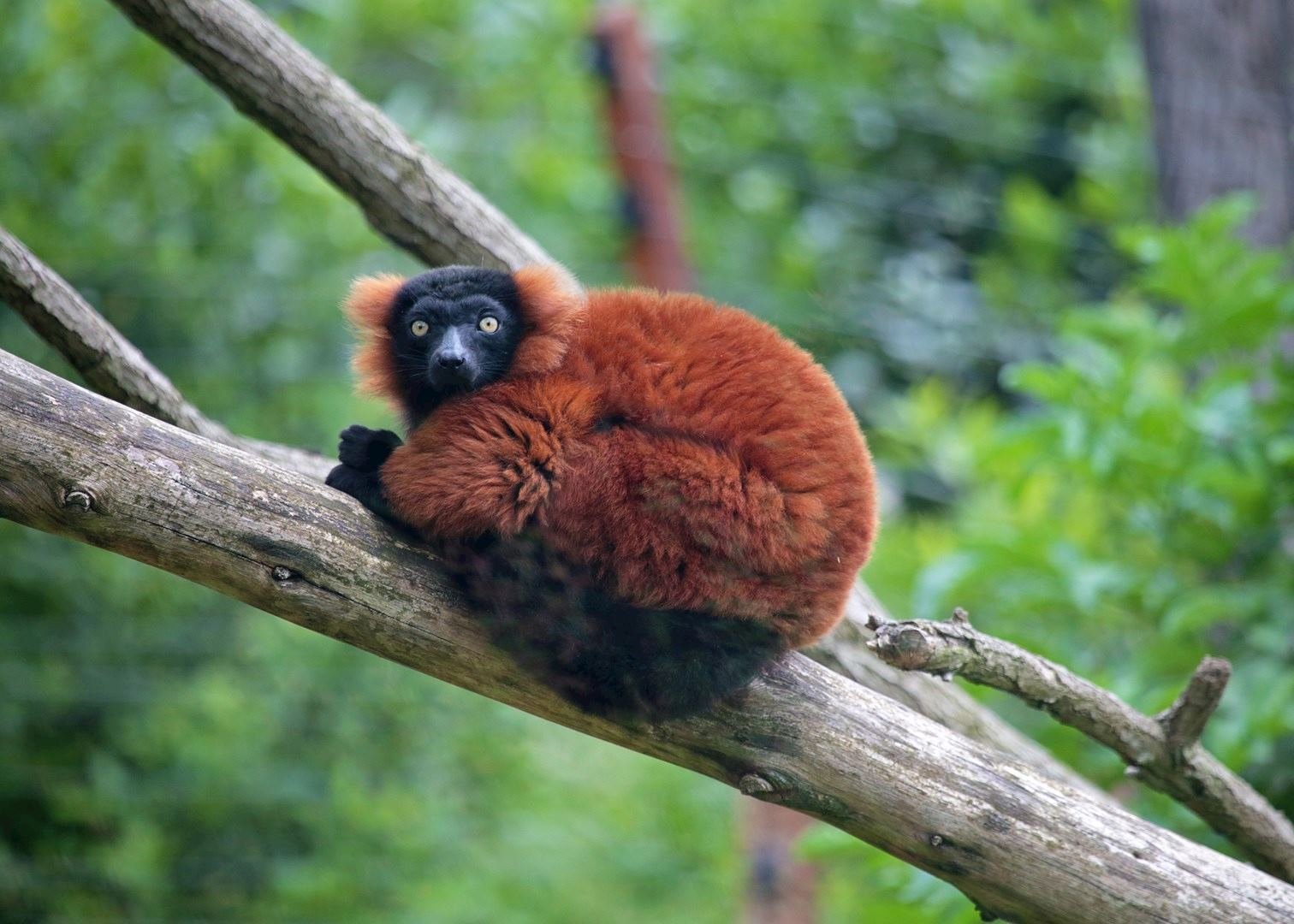 Masoala National Park