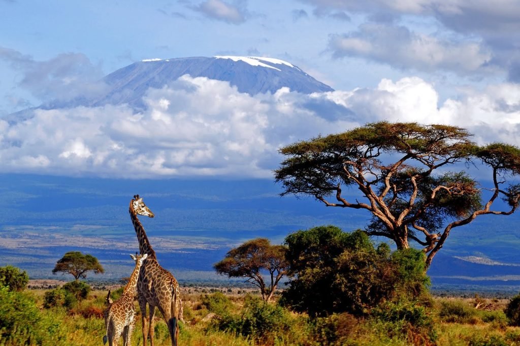 Tanzania Northern Circuit