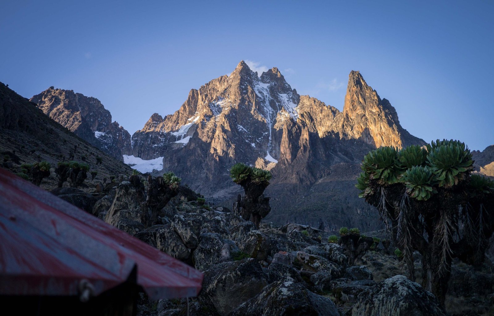 Mount Kenya National Park