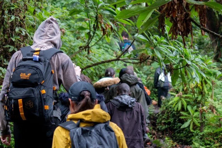 Mount Bisoke Hike