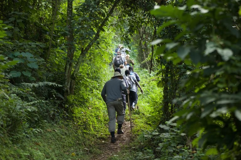 Nature Walk