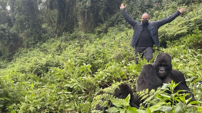 Gorilla Trekking