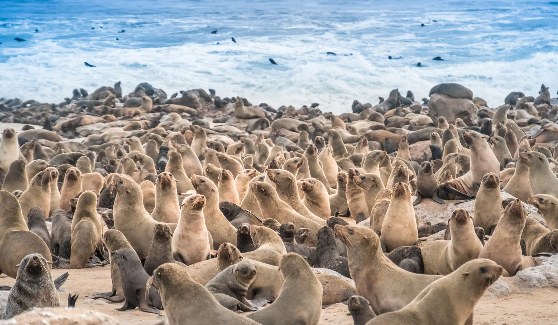 Skeleton Coast National Park