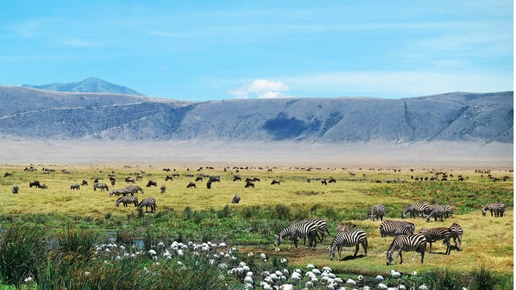 Serengeti Sopa Lodge