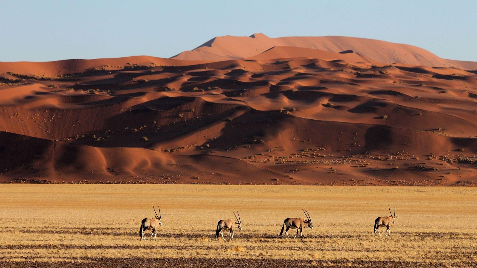 Namib-Naukluft National Park